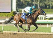 Cherokee Nation, Baffert y Jaramillo: El tridente de velocidad que amenaza el camino al Derby 2026
