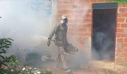 Sedes de Beni declara emergencia sanitaria por dengue y chikungunya