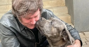 Dolor en Olivos: falleció uno de los perros de Javier Milei