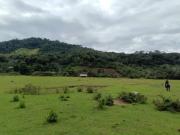 Tariquía: Procuraduría exige vía libre alegando daño económico