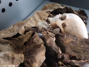 Reconstruyeron el rostro de una mujer de hace 3,67 millones de años y es la muestra de uno de los ancestros más antiguos