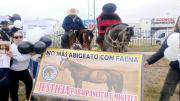 Caso Colorada: condenan a sujeto por abigeato y maltrato animal tras faenamiento de yegua