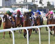 Pronósticos Gulfstream Park: picks gratis y el dato clave para el sábado 7 de marzo