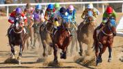 Del Tampa Bay Derby al Santa Anita Handicap: Los pronósticos imperdibles de Meridiano para el 7 de marzo