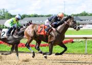 José Armando Bracho: “Quiero llegar a las 1.000 victorias este año en Estados Unidos”