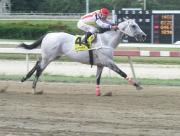 A dos décadas de la proeza: El legado vigente de Tutmosis en la arena de Coche