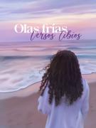 Editorial “Entre todos” presenta este fin de semana tres nuevas obras en la Feria Chacu Guaraní