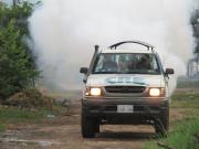 Chikunguña: CRE activa el plan “No me molestés mosquito” y contribuye en la fumigación