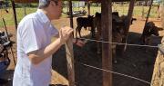 Embajador de Taiwán visita a los pequeños productores de leche en San Pedro