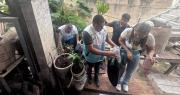 Santa Cruz: Vecinos e instituciones se unen en una minga para frenar la Chikungunya