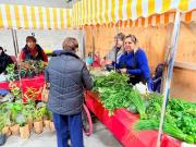 Más de mil personas dieron fuerza al Mercado Campesino en Punta Arenas