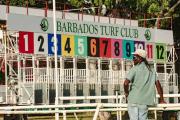 ¡Es hoy! entrenador campeón de la Florida, estará en el Caribe con tres ejemplares en la Barbados Gold Cup (Gr.1)
