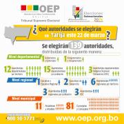Más de 381 mil votantes en Tarija eligen este 22 de marzo a sus autoridades
