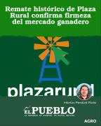Remate histórico de Plaza Rural confirma firmeza del mercado ganadero ‣ Martin Ferreira Pinto