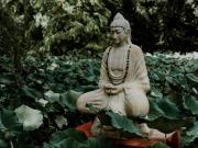 Cómo alcanzar la antigua sabiduría china con tácticas actuales