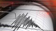 Un sismo de 4,9 sacudió San Juan y se sintió en Mendoza