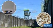Denuncian que alcaide de cárcel de Osorno autorizó instalar router y a reclusa vender palomitas