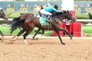 Lured Away: Un millonario con sello de la Breeders’ Cup debuta este domingo en Coche