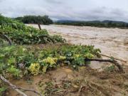Cuatro municipios de Tarija se declaran en emergencia por lluvias, derrumbes y pérdidas en el agro