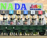 Pedigrí de lujo: El regreso de la nieta del legendario semental Tapit luego de 147 días y podría buscar su primera victoria en el 5y6