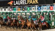 ¡Insólito! Laurel Park cancela su jornada del sábado por falta de inscritos