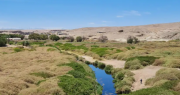 Calama: Trekking familiar gratuito por la ribera del Río Loa este 14 de marzo, ¿cómo participar?