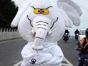 Se disfrazó durante años de elefante blanco, nadie conocía su cara y ganó una banca en el Senado