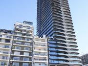 El color púrpura o el espinazo de Palermo