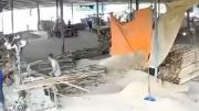 Conmoción en el aserradero: impresiona el video del accidente del operario que cayó en una sierra industrial