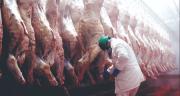 Bolivia tiene luz verde, por dos años, para exportar carne de res a Paraguay