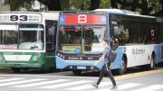 Crisis del transporte en Córdoba: DOTA se ofrece a operar tres corredores con 270 colectivos