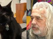 Un gatito sacrificó su vida para socorrer a su dueño: Murió salvándome