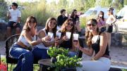 Vinos, rock y atardecer en Bodega Familia Schroeder: todo lo que tenés que saber de la Vendimia Neuquina