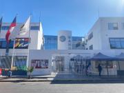 Municipio De Alto Hospicio Aclara Alcance De Ordenanza Sobre TenenciaResponsable De Mascotas