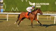 Moon Spun con Javier Castellano a mantener la racha en el Captiva Island Stakes en Gulfstream Park