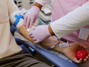 En Bejuma invitan a participar en micro jornada de donación de sangre