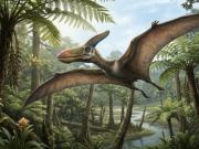 Volaba como un depredador, pero era vegetariano: el sorprendente caso del pterosaurio Sinopterus