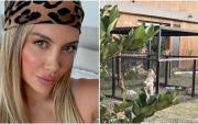 Polémica en Nordelta por los perros de Wanda Nara: la acusación de los vecinos