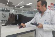 Perro robótico en Ecotec ayuda a formar veterinarios con enfoque ético