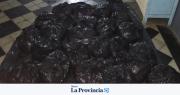 Llevaban 2.000 kilos de carne en bolsas de consorcio
