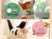 ¿Un teléfono para perros y gatos? Sí, ya está inventado y a la venta en Internet