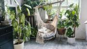 Arquitectura interior: la tendencia del “rincón natural” con plantas que transforma las casas