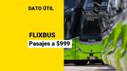 Pasajes desde los $999: Empresa de buses low cost celebra con ofertas importante hito