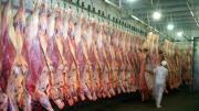 ¿Carne boliviana en Chile?: En el vecino país aseguran estar en puertas de iniciar exportaciones