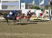 No pierdan de vista: Así cómo ajustó la sorpresa de Gaceta Hípica buscará un buen dividendo para el 5y6