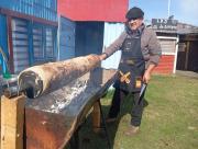 Siete años de tradición: Vuelve la Fiesta del Cordero y la Chochoca a Punta Arenas