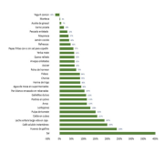 Observatorio /La brecha de precios entre Artigas y Quaraí se reduce a 63%