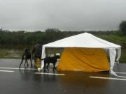 La Madrid bajo el agua: entre la bronca del “otra vez” y la impotencia de ver la vida flotando
