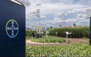 San Nicolás: Bayer impulsa agricultura regenerativa para transformar la producción