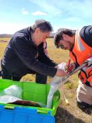 Magallanes se posiciona en el mapa del mercado global de carbono con conversatorio internacional